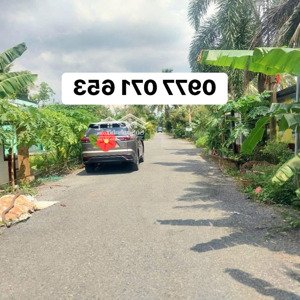 bán đất đang trồng cây ca cao cho trái 100%.