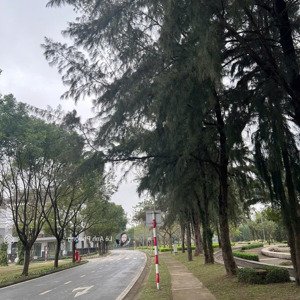 chính chủ cần bán căn góc đầu hồi gamuda. giá 50.5 tỷ. lh : 
