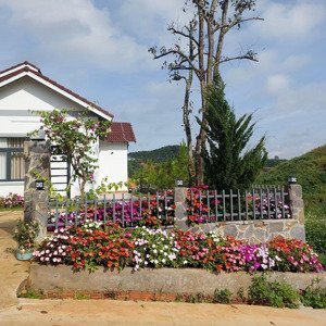chủ đẹp trai bán gấp nhà vườn 535m view suối đà lạt giá bằng căn hộ thành phố