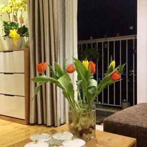 bán căn hộ i-home 1, 1pn, 1wc, 46m2, giá ưu đãi 1,62 tỷ tại phạm văn chiêu, gò vấp, hcm