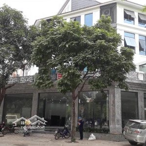 gấp! cho thuê biệt thự kđt trung hòa nhân chính, 280m2, 4 tầng + 1 hầm, thang máy, 60tr/tháng