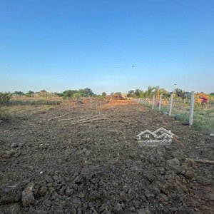 9,2 tỷ/1000m2 - đất vườn - hoàng phan, bình chánh