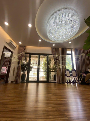 biệt thự nội khu trương định 15 căn - giảm 15 tỷ trong tuần - dt 14x16m