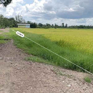 lô đất chủ ngộp gần 1.1 ha chủ cần bán chỉ 14 tỷ mặt tiền đường nguyễn thị ly