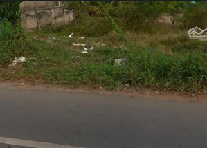 bán đất mt diên nghệ,mỹ quý,long xuyên,an giang giá chỉ 750tr/100m2 full thổ cư sổ hồng riêng