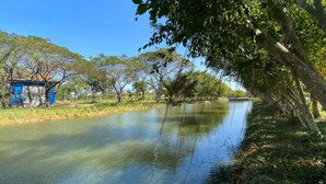 bán villa đơn lập chính chủ đã có sổ hồng