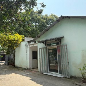 cho thuê kho, nhà xưởng, đất tại lê hồng phong, phú thọ, thủ dầu một, bình dương, 40 triệu, 1300m2
