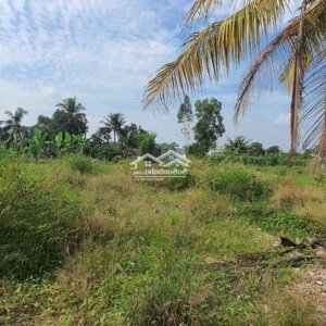 MT TỈNH LỘ 827,TÂN AN, LA - BAO GIẤY PHÉP CÂY XĂNG