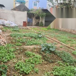 chính chủ bán lô đất dt 65.5m2, mt 4,54m thôn nội, đức thượng, hoài đức, hn. lh: 0965023988