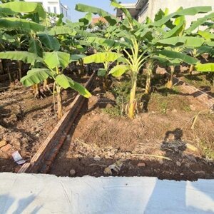 em cần bán 48.2m2, mt 4.8m = hậu tiên tân, hồng hà, đan phượng, hn (giá 1 tỷ 050tr) lh: 0965023988