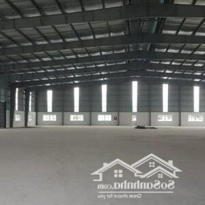 Cho thuê kho, xưởng KCN An Đồn, Q. Sơn Trà 1.000m2, 55 ngh/m2/th (Ngô Quyền)