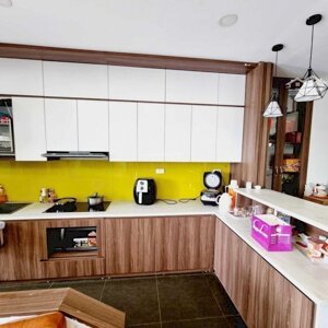 cho thuê chung cư green park trần thủ độ -hoàng mai, 55m2 ,2pn, full đồ 9 tr