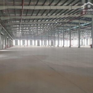 BQL dự án cần cho thuê kho, nhà xưởng hoàn thiện diện tích từ 2000 - 10000m2 tại Long Biên