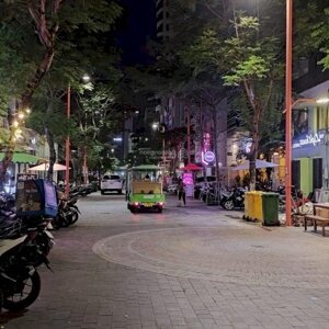 an thượng 3 mặt tiền 10m bán gấp. rất hiếm có nhà bán