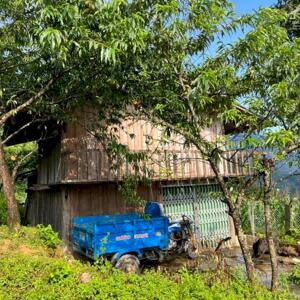 Cần tiền trả nợ cần bán gấp lô đất 1000m thích hợp làm nhà hàng khách sạn tại SaPa 2