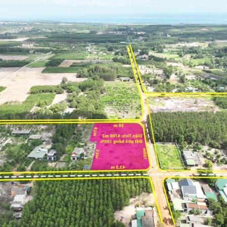 HOT: Chính chủ cần bán lô đất 3,5 ha thuộc xã Sơn Mỹ, huyện Hàm Tân, tỉnh Bình Thuận giá đầu tư- ảnh 1