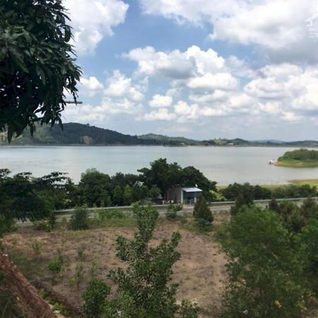 1000m2 view Hồ Đa Tôn cực đẹp. Xã Thanh Sơn, Huyện Tân Phú, Đồng Nai- Ảnh 4
