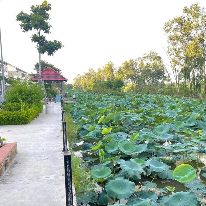 Hình ảnh Bán căn biệt thự sân vườn tại thành phố từu sơn, chỉ 7,5 tỷ số lâu dài 3