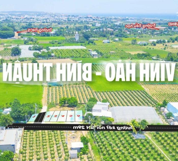 Hình ảnh Đất biển Bình Thuận, nối sóng Sân bay Phan Thiết giá chính chủ 750 Triệu - Đường 29m, sổ sẵn đẹp công chứng trong ngày 2