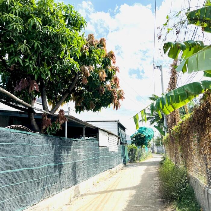 Hình ảnh CẦN CHUYỂN NHƯỢNG Đất vườn 140m², phường Văn Hải, giá chỉ 450 triệu 7
