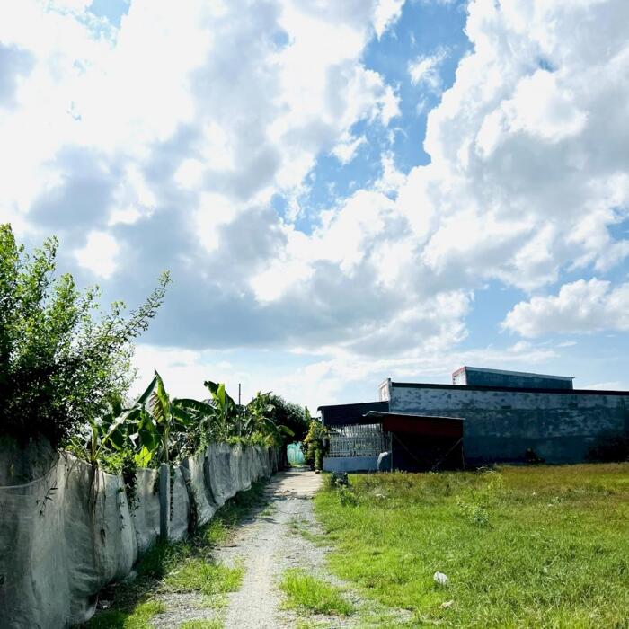 Hình ảnh CẦN CHUYỂN NHƯỢNG Đất vườn 140m², phường Văn Hải, giá chỉ 450 triệu 5