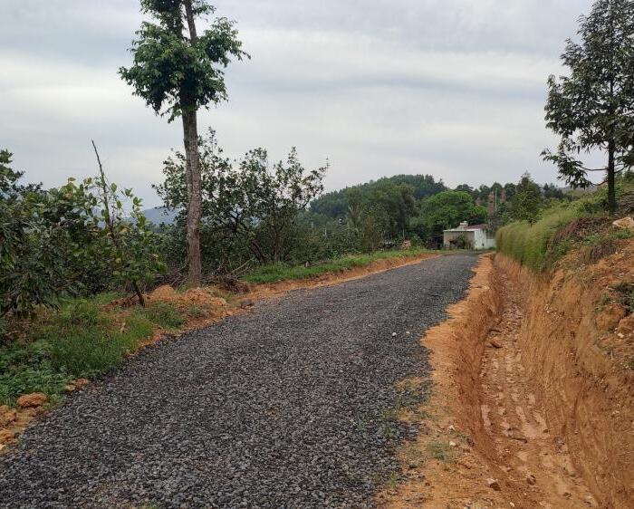 Hình ảnh Bán 1.3 mẫu đất Sấu riêng Thanh Sơn, Huyện Tân Phú sổ riêng, hạ giá 50% 460tr/ sào 3