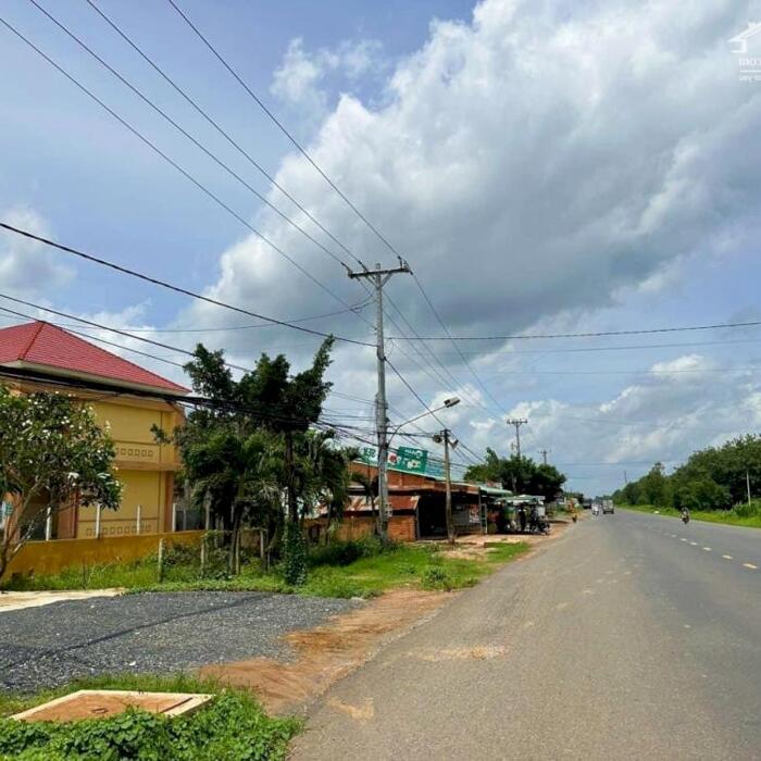 Hình ảnh Bán đất Bình Phước giá rẻ cho người thu nhập thấp 1