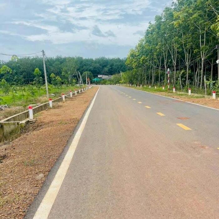 Hình ảnh Bán đất Bình Phước giá rẻ cho người thu nhập thấp 0