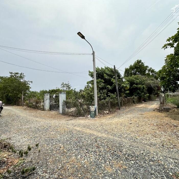 Hình ảnh Bán 50 x 70 đất ONT Tân Phước - TX LaGi GIẢM 50% còn 2.3tr/m2, Gần DeLaGi 2