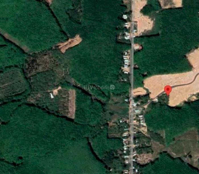 Hình ảnh Bán đất sào Thuận Lợi Đồng Phú, 25x63m giá chỉ 420 triệu, dân cư đông nghẹt, giá thật đất thật 1