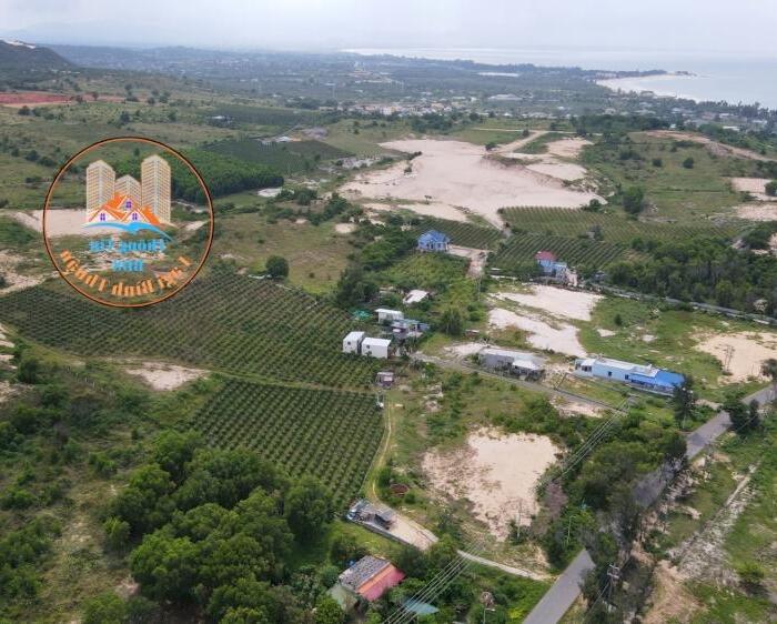 Hình ảnh Bán 5400m2 3 mặt tiền, đất mt ĐT 719, view trực diện biển, view mũi điện Kê Gà 4