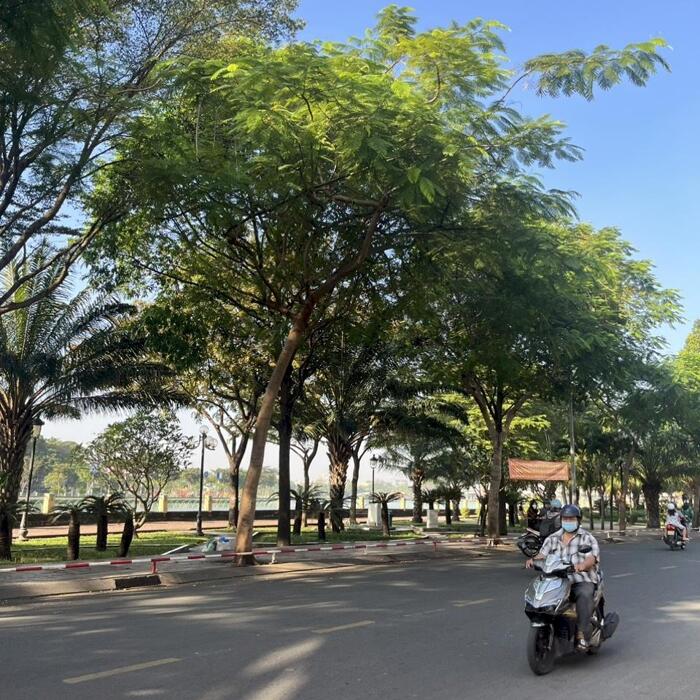 Hình ảnh Cần bán Villa Biệt thự Đơn Lập 4 mặt Gần Sông Sài Gòn 16x15 ,4T mới ,26.8 tỷ 1