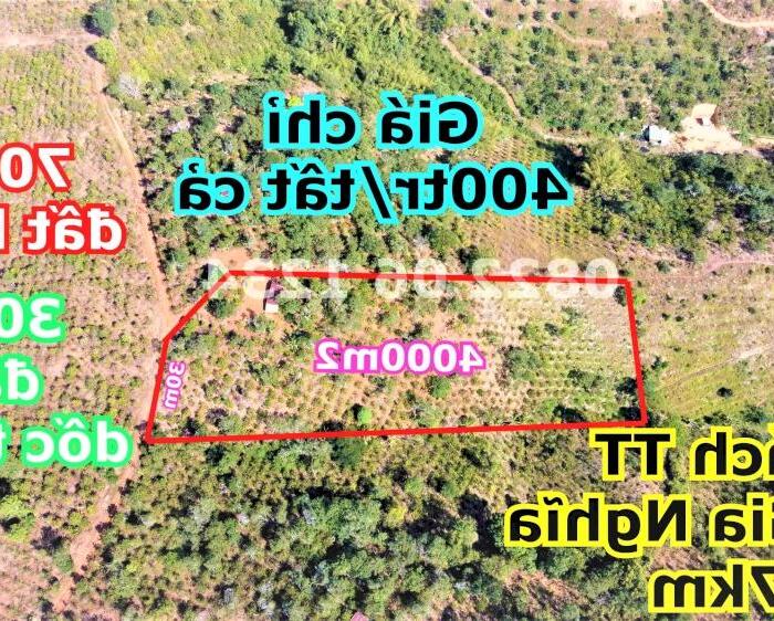 Hình ảnh Đất ngộp 5000m2 giá chỉ 700tr sát ranh phường Nghĩa Đức TP Gia Nghĩa Đắk Nông 0