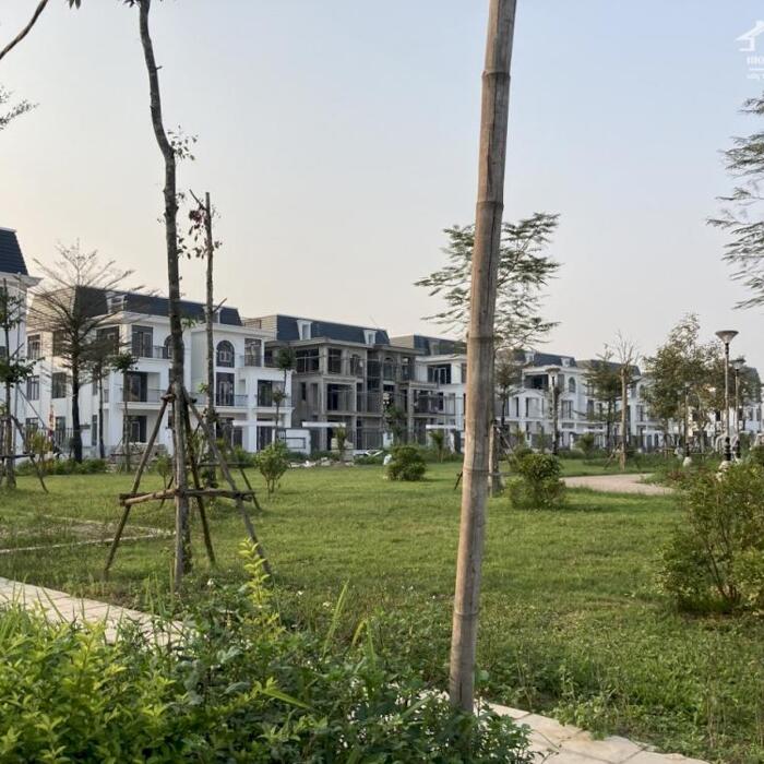 Hình ảnh Bán biệt thự song lập HUD Mê Linh - view trực diện công viên 250m2 - giá 13,x tỷ, trung tâm đô thị 6