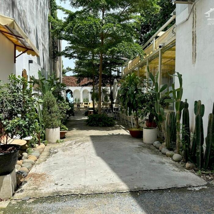 Hình ảnh Nhà bán đường 5 cũ (Phan Trung), phường Tân Mai; sổ hồng riêng 200m2 ngang 12m giá 32 tỷ 3