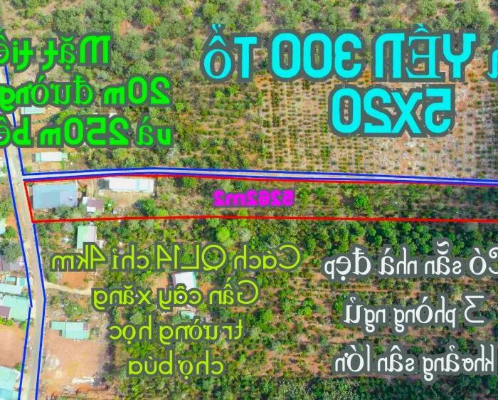 Hình ảnh Bán nhà YẾN và nhà ở + 5262m2 gần QL14 | Khu đông dân cư | Chủ đang ngộp tại tỉnh Đắk Nông 1