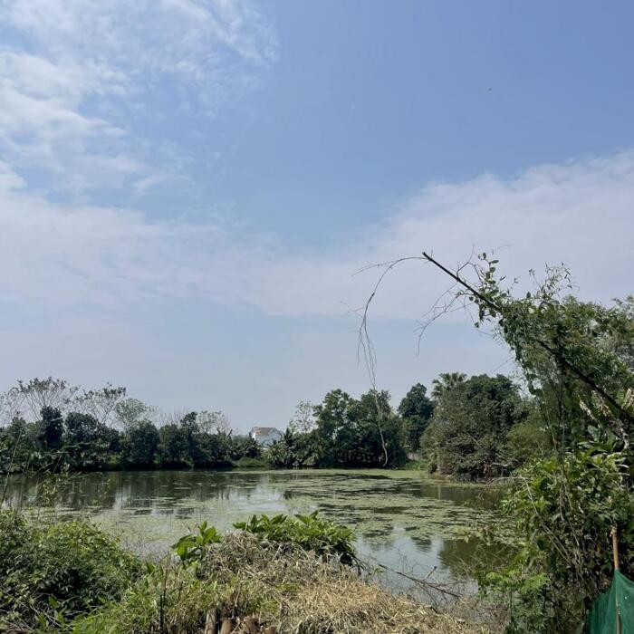 Hình ảnh Bán gấp lô đất bám hồ tại Lương Sơn có diện tích 668 full thổ cư 0