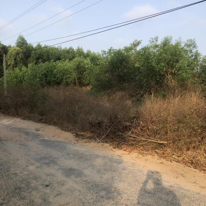Hình ảnh Bán 800m2 đất Lý Nam Đế, Tân Phước, Thị xã LaGi hạ giá 50% 79tr/m ngang 0