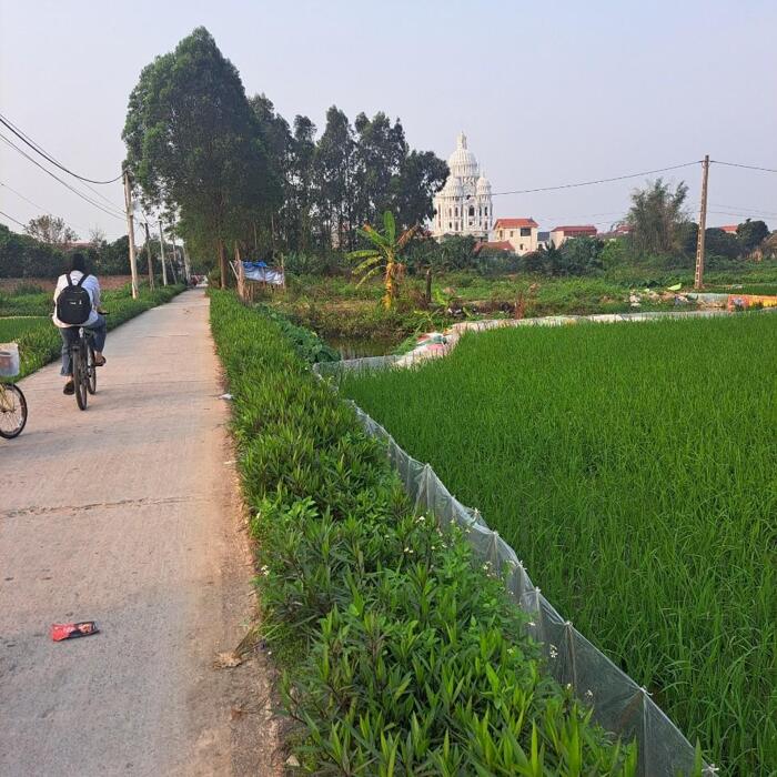 Hình ảnh Bán lô đất cạnh trường cấp 1, cấp 2 xã Xuân Lai, Gia Bình, làn 2 QL17, cách thị trấn Gia Bình 1 km 1