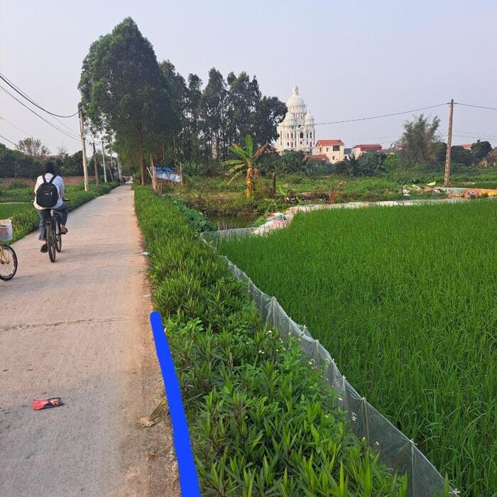 Hình ảnh Bán lô đất cạnh trường cấp 1, cấp 2 xã Xuân Lai, Gia Bình, làn 2 QL17, cách thị trấn Gia Bình 1 km 2