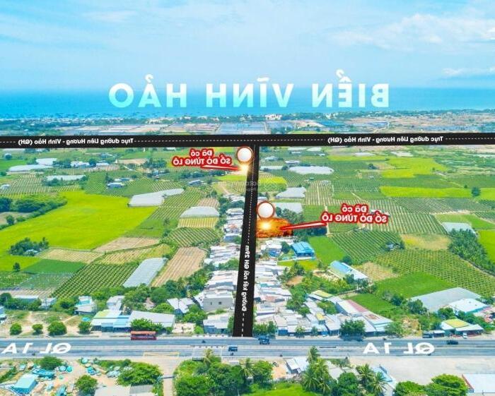 Hình ảnh Đất biển Tuy Phong Bình Thuận giá chỉ 739 triệu/lô sở hữu ngay 0