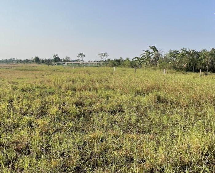Hình ảnh 2 công đất vườn có tới 500m2 thổ tại Long Hòa, TP Gò Công, Tiền Giang 2