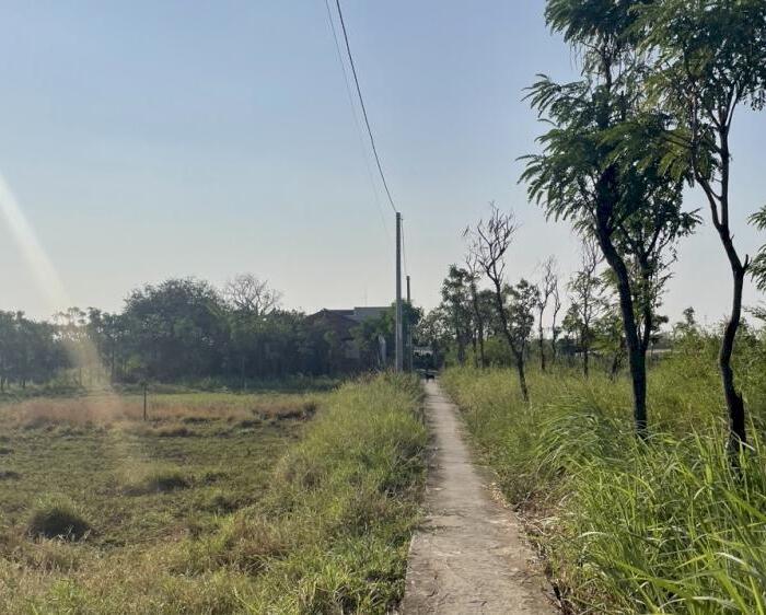 Hình ảnh 2 công đất vườn có tới 500m2 thổ tại Long Hòa, TP Gò Công, Tiền Giang 1