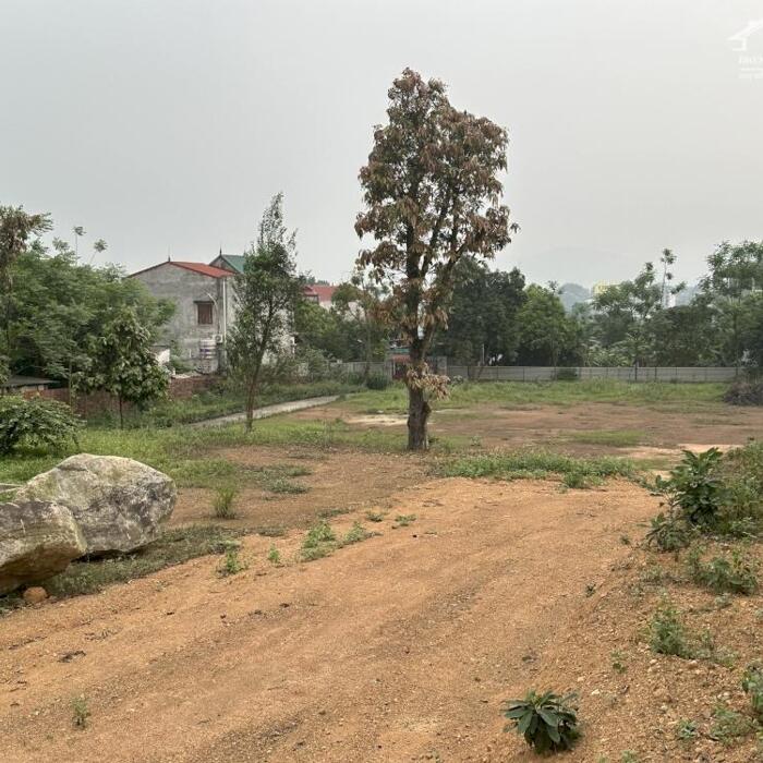 Hình ảnh Bán đất rộng làm biệt thự nhà vườn tại Hữu Thủ, Kim Long, Tam Dương, Vĩnh Phúc. Lh: 0986934038 1