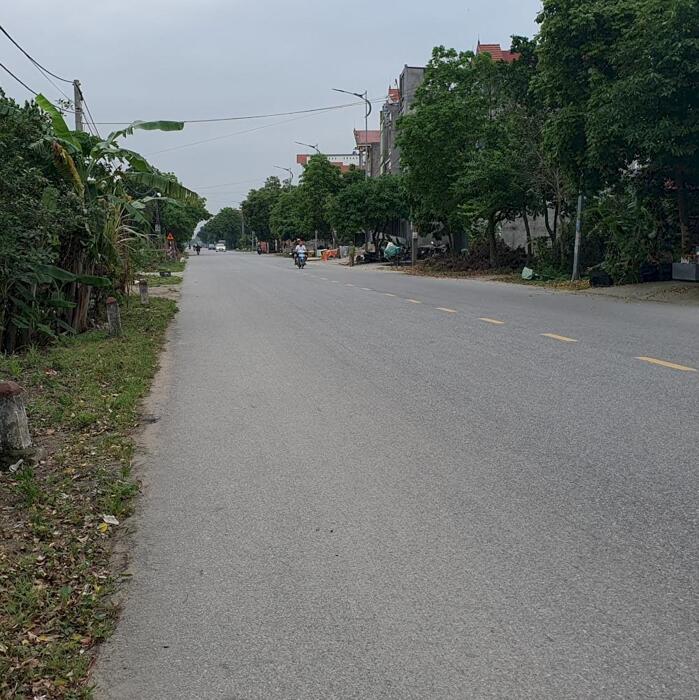 Hình ảnh Bán đất Quốc lộ 17 xã Xuân Lai, Gia Bình, Bắc Ninh, mặt 5.5m, DT 110m2 2