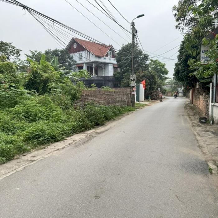 Hình ảnh Bán đất trục chính đường Văn Miếu, Làng Bầu, Vĩnh Yên, Vĩnh Phúc. Lh: 0986934038 2