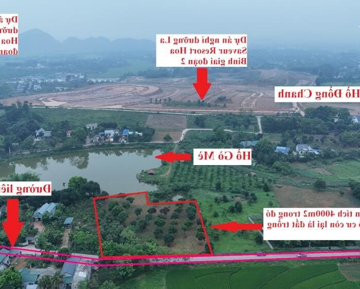 Hình ảnh SIÊU PHẨM VIEW HỒ VÀ VIEW CÁNH ĐỒNG BÁM ĐƯỜNG LIÊN XÃ CÓ DT 4000m2 (400mn2 ONT) 0