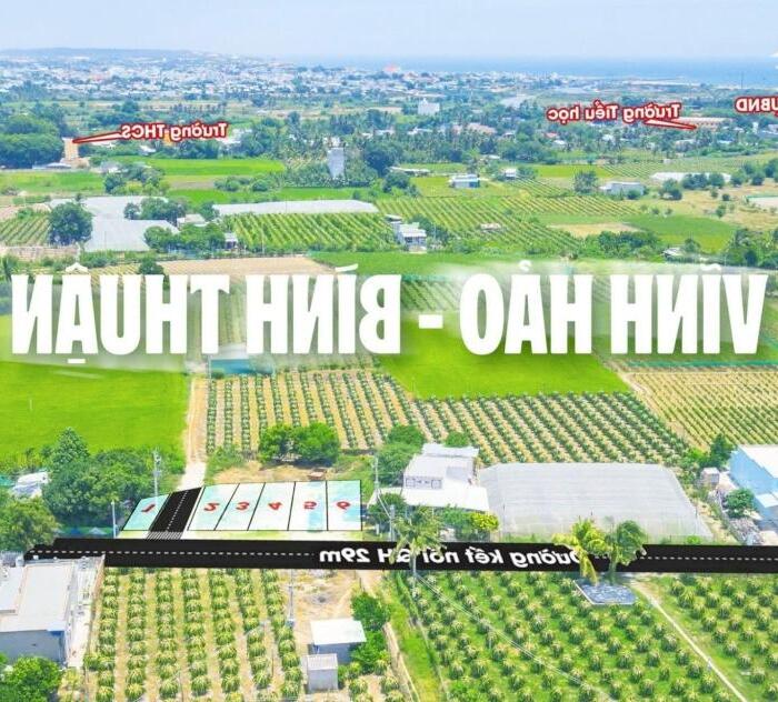 Hình ảnh Ông Bác nhà cần tiền bán 2 lô đất biển Bình Thuận trong tháng 1