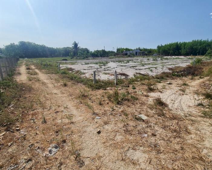Hình ảnh bán gấp 53x40 đất phủ hồng, 3 mặt tiền đường lớn, xã Tân Phước, TX LaGi. Bình Thuận. gần Biển, Giá rẻ. 4 triệu/m2 4
