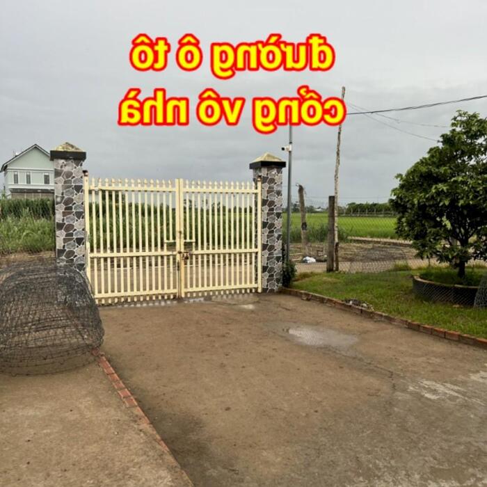 Hình ảnh 3,2 công đất - nhà vườn nghỉ dưỡng: có nhà, hồ bơi, ao cá, view sông nước, đường bêtông 3m, vườn cây trái đủ loại…. Gò Công Tây, TG 1